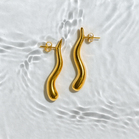 Drop Wave Design Earrrings